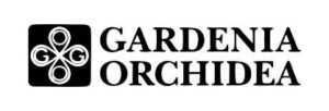 Gardenia Orchidea